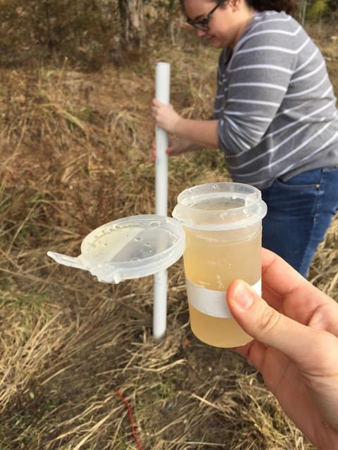 Hand holds test vial 