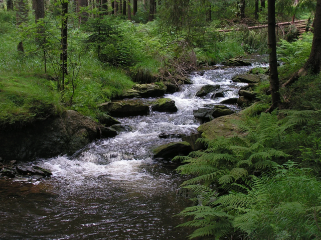 Babbling brook