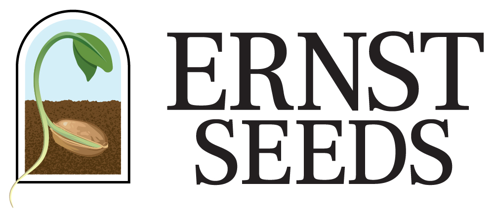 Ernst Seeds