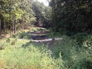 Example Retrofit of Eroded Outfall - Post-Reconstruction Riverdale Road Outfall Project