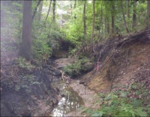 Example Stream Stabilization/Restoration - Pre-Restoration