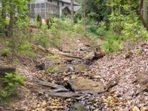 Example Stream Stabilization/Restoration - Post-Restoration