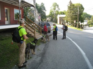 Our pack, inspecting road-side catch basins in the village of Pawlet.