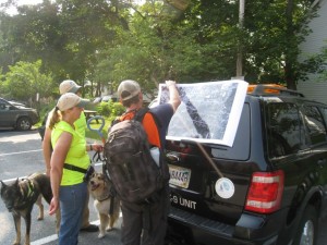 Examining the storm drain network to decide which catch basins to visit next.