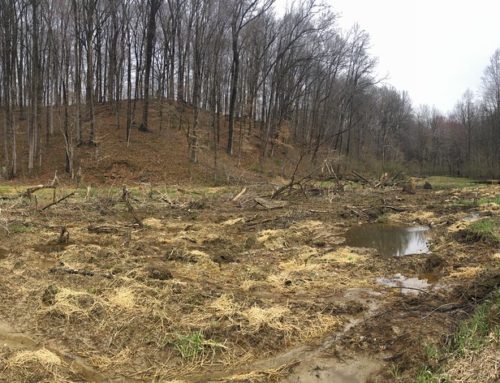 North Branch Bennett Creek Stream Restoration Complete