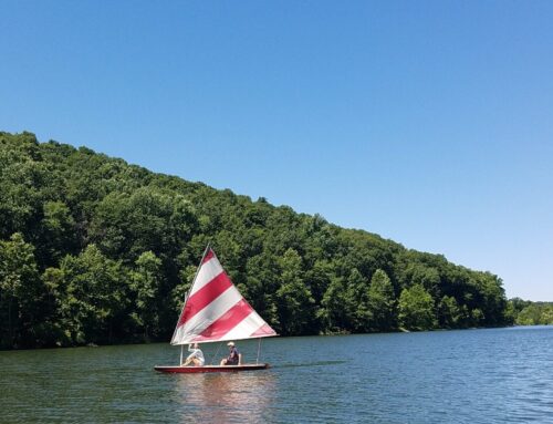 Lake and Watershed Assessment to Support Management Planning in the Lake Linganore Community, Maryland