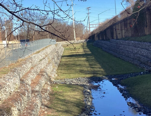 A Roadmap for Restoring Maryland’s Scenic Severn River